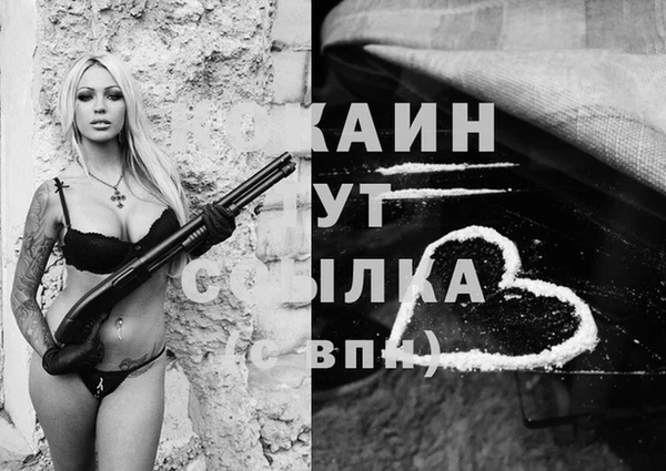 a pvp Карпинск