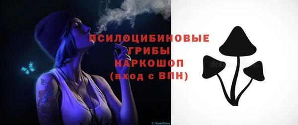 a pvp Карпинск
