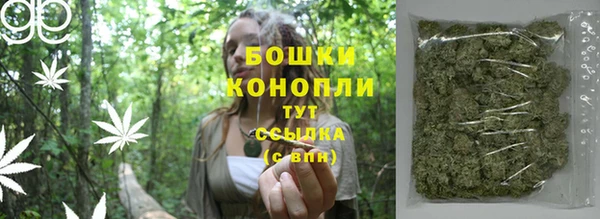 стаф Каменск-Шахтинский