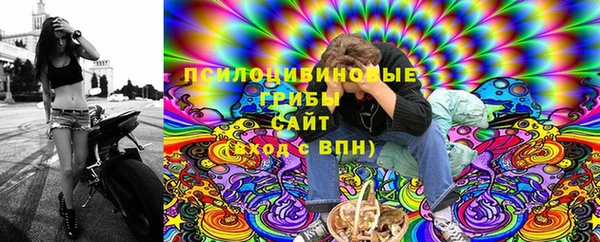 молекула духа Касимов