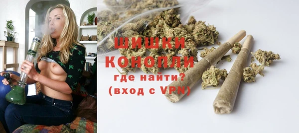 молекула духа Касимов