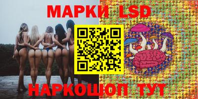 ECSTASY Берёзовский