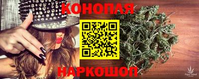 Альфа ПВП Беслан