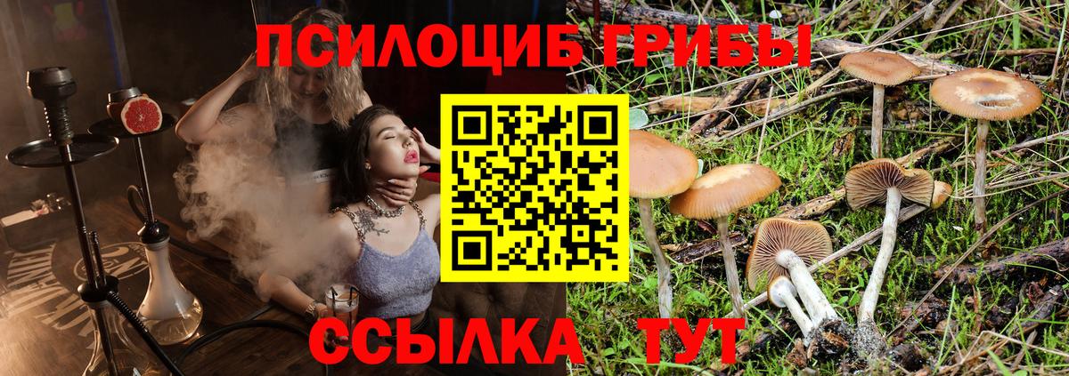 Домодедово  Галлюциногенные грибы мицелий  Вход с VPN  Псилоцибиновые грибы Cubensis 