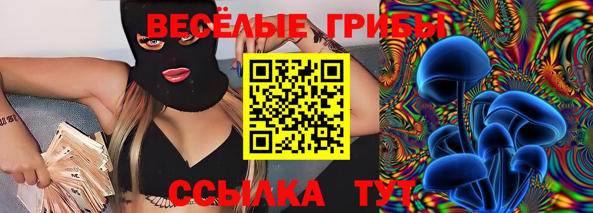 Галлюциногенные грибы MAGIC MUSHROOMS  Домодедово 